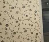 Сдать в аренду Квартиры вторичка Комендантский проспект, 57к2   