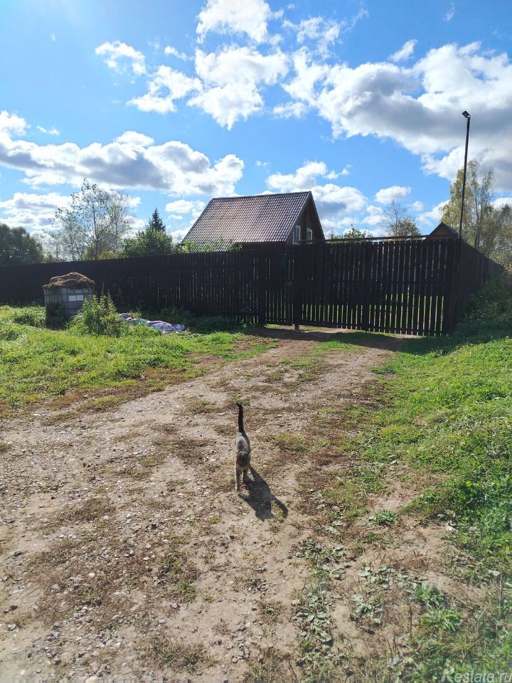 Продажа дома Репихово, 46Н-10516,  д. 85