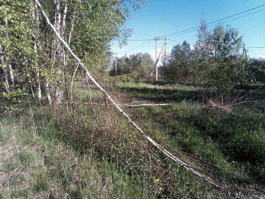 Продажа земли деревня Садовниково, Лесное озеро-2 территория снт