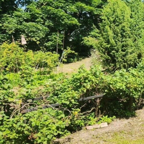 Коттедж/дом д. Покизен-Пурская, 29