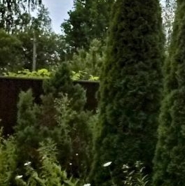 Продажа дома Нижняя Колония СНТ, улица Садовая, 298 Продажа дома Нижняя Колония СНТ, улица Садовая, 298