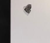 Продать Квартиры вторичка Дмитровское шоссе, 169к1   