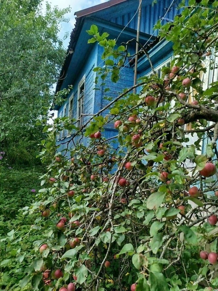 Продажа дома Рахья рп, Лесная улица