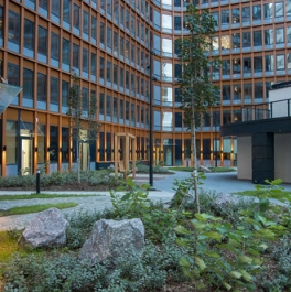 Продажа 1-комн квартиры на вторичном рынке Заневский пр-кт,  д. 65а