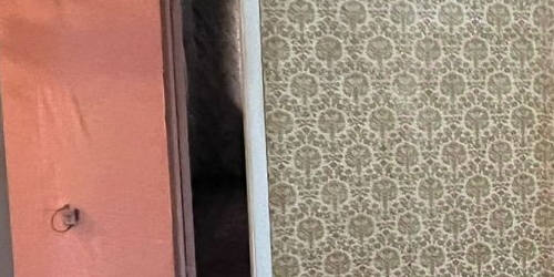 2-комн квартира Светлановский проспект, 97