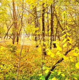 Продажа 2-комн квартиры на вторичном рынке Чечерский проезд,  д. 90