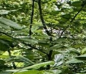 Продать Квартиры вторичка Ожерелье мкр, Кашира, улица Энергетиков  2 