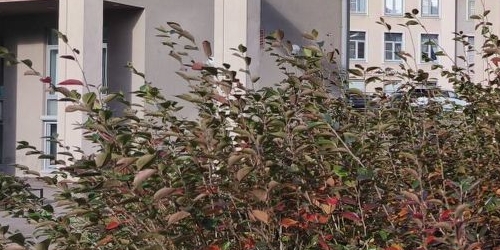 3-комн квартира Петрозаводская улица, 13