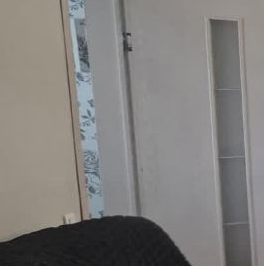 Продажа дома Посадников остров садоводческий массив, Меридиан СНТ, 2-я линия, 10 Продажа дома Посадников остров садоводческий массив, Меридиан СНТ, 2-я линия, 10