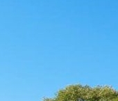 Продать Квартиры вторичка Сланцы, улица Кирова, 12   