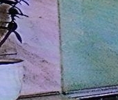 Сдать в аренду Квартиры вторичка площадь Победы  1кЕ 