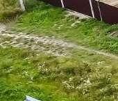 Продать Земельные участки, земля Тайцы городской поселок, улица Фестивальная, 28   