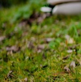 Продажа 4-комн квартиры на вторичном рынке Таврическая улица, 37