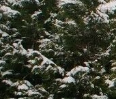 Продать Квартиры вторичка с. Ромашково, улица Железнодорожная, 38   