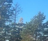 Продать Земельные участки, земля пос. Судаково, улица Магистральная, 15Б   