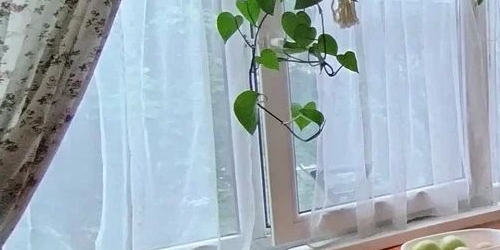 2-комн квартира Тимуровская улица, 6К2