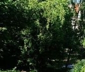 Продать Квартиры вторичка Выборг, улица Сухова, 10   