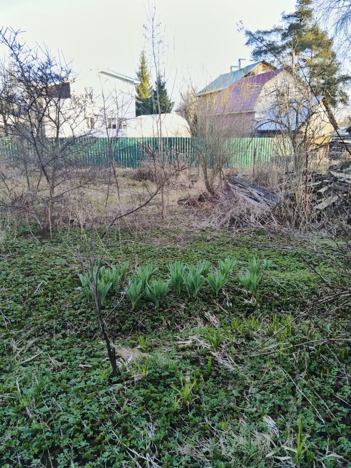 Продажа дома пос. Левашово, Ручейная улица, 6