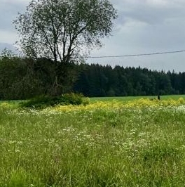 Продажа земли д. Меньково, улица Молодежная