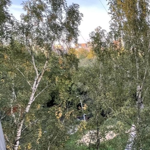 2-комн квартира Бобруйская улица, 14К2