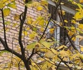 Продать Квартиры вторичка 2-й Верхний Михайловский проезд, 4   