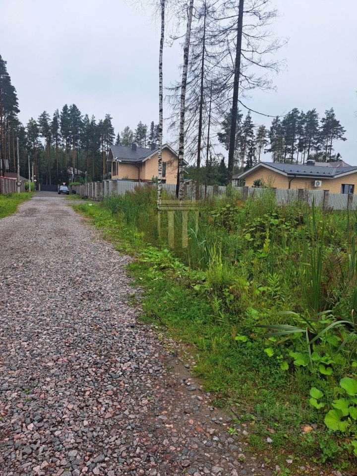 Продажа земли Белоостров массив, Осинка СНТ, 333