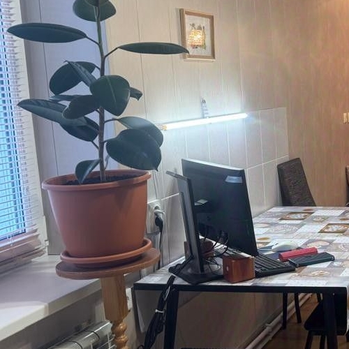 Коттедж/дом пос. Пудость, улица Усадебная, 16