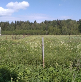 Продажа дома Горбово п, Спортивная ул,  д. 2