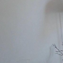 Аренда студии Балтийская улица, 27