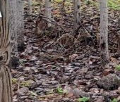 Продать Земельные участки, земля пос. Поляны, проезд Третьепольский   