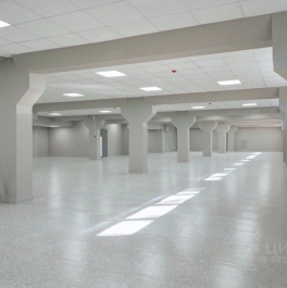 Аренда торгового помещения улица Юных Пионеров,  д. 38 литА