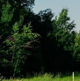 Продажа дома Павловск, Негород Павловск кп Продажа дома Павловск, Негород Павловск кп