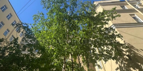 Комната Реки Мойки,  д. 40