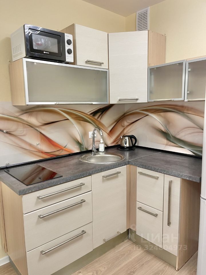 Аренда студии пос. Ковалево, улица Александра Разгонина, 1к1