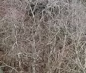 Продать Земельные участки, земля д. Юкки, шоссе Ленинградское   