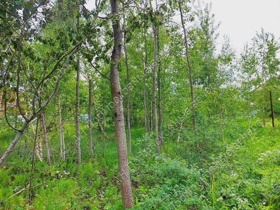 Продажа земли Марьино деревня,