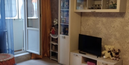 1-комн квартира Руднёвка ул., 43