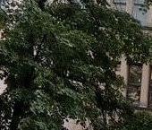 Продать Квартиры вторичка Старорусская улица, 5/3   