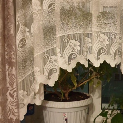 3-комн квартира 10-я Советская улица, 26