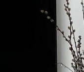 Сдать в аренду Квартиры вторичка улица Римского-Корсакова, 11к3   