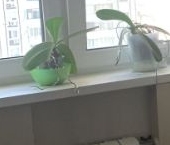 Продать Квартиры вторичка улица Генерала Кузнецова, 17   