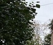 Продать Квартиры вторичка Донская улица, 21К2   