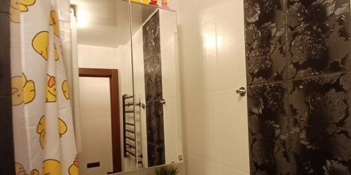 1-комн квартира Пироговская М. ул,  д. 22