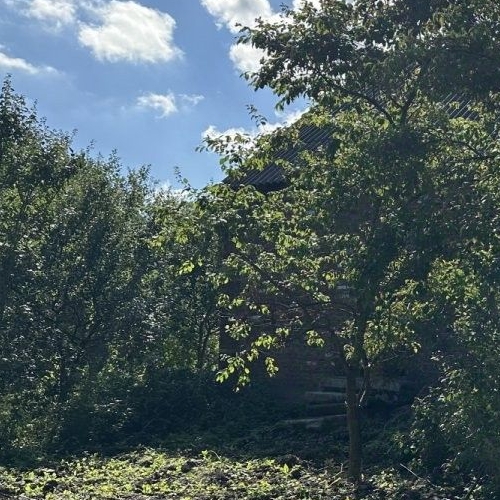 Коттедж/дом Токсово городской поселок, улица Дорожников, 22