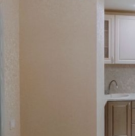 Продажа студии пос. Сосново, переулок Типографский, 11 Продажа студии пос. Сосново, переулок Типографский, 11