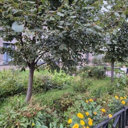 Продажа 1-комн квартиры на вторичном рынке Кушелевская дор,  д. 3 к1