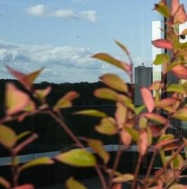 Продажа 6-комн квартиры на вторичном рынке Мосфильмовская улица, 1Б