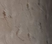 Продать Квартиры вторичка проспект Большевиков, 75К1   