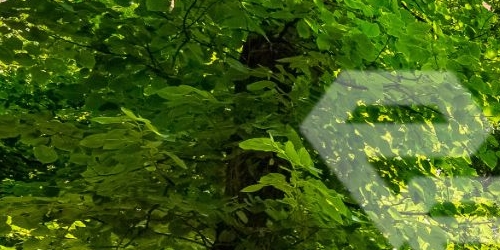 5-комн квартира 3-я Фрунзенская улица, 5к1