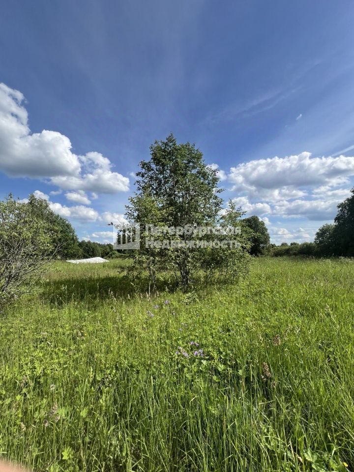 Продажа земли д. Большие Горки, 71